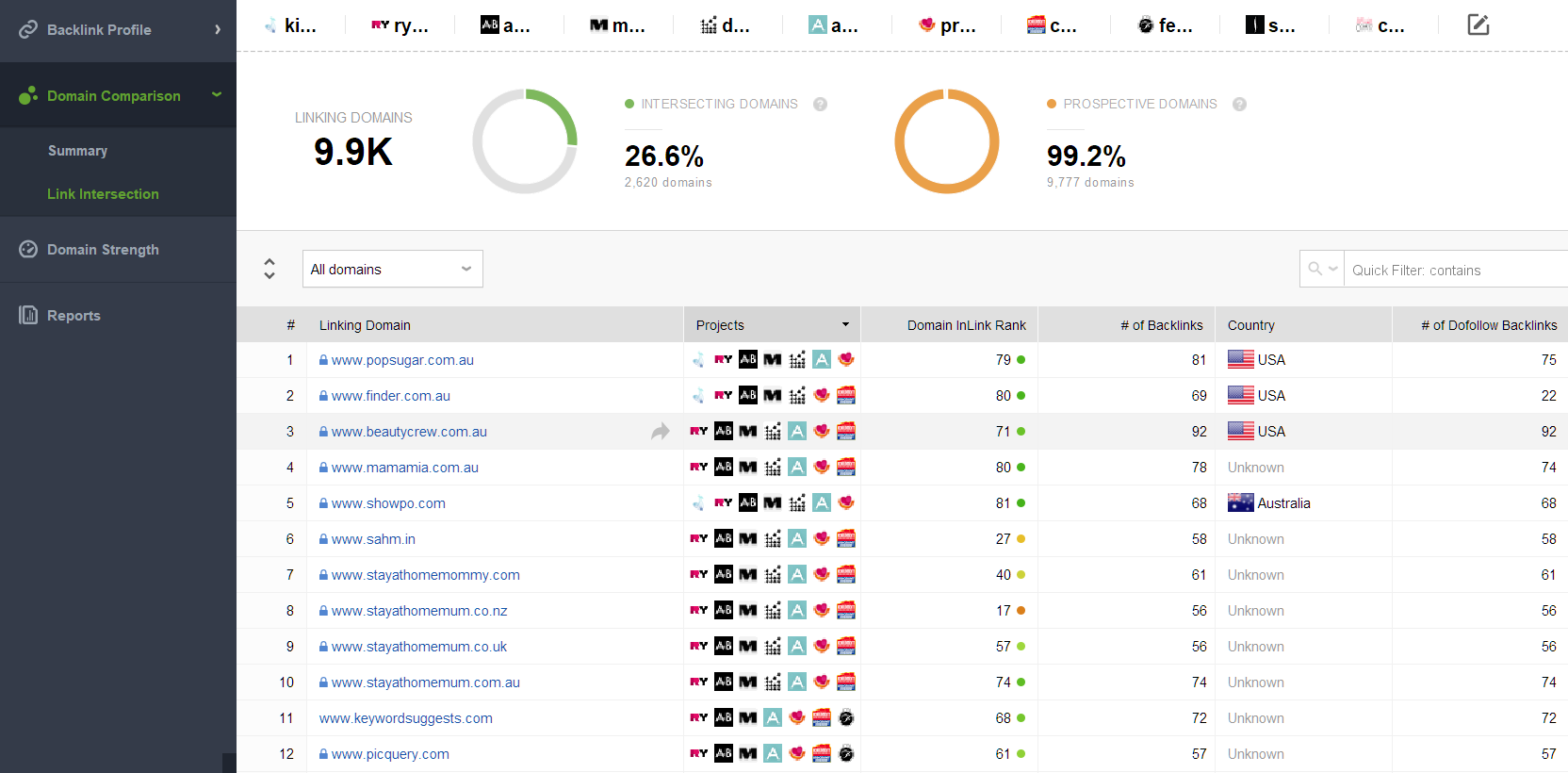 SEO PowerSuite Domain Competition