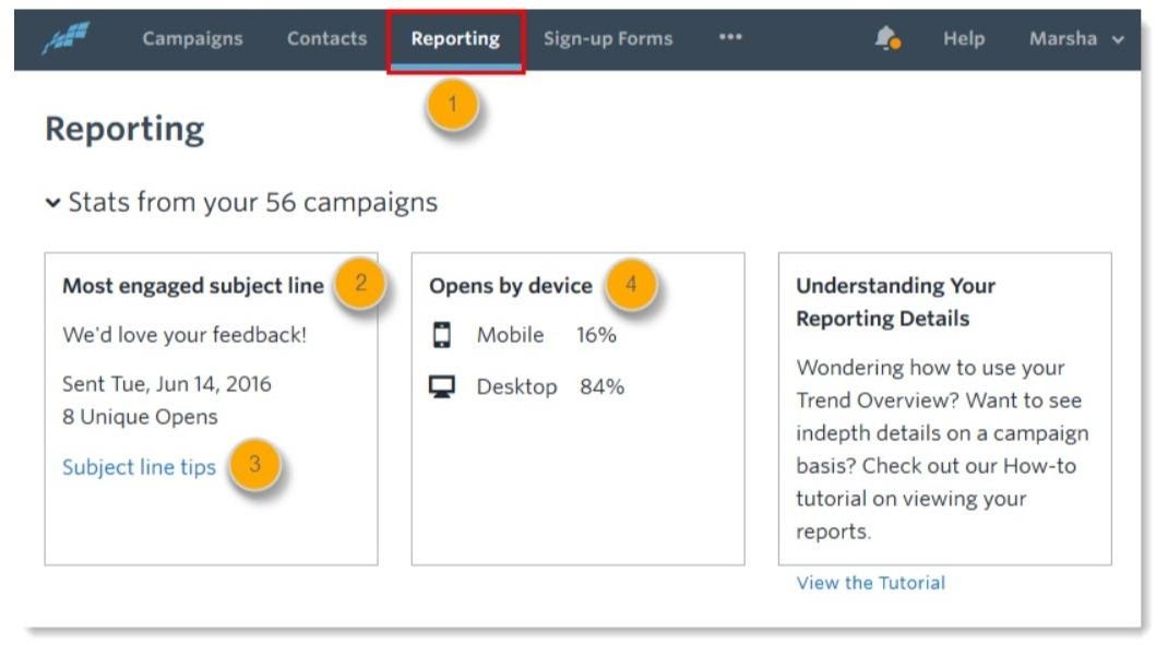 constant contact reporting