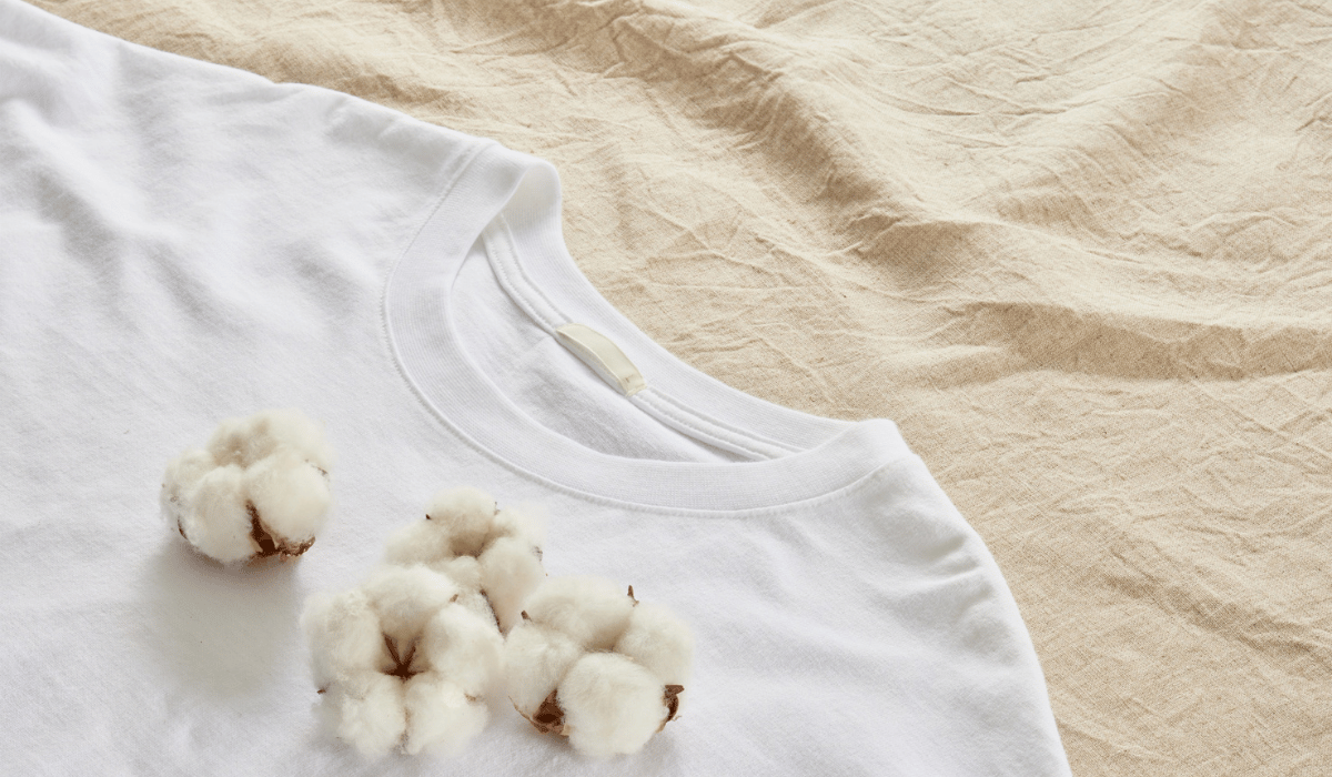 cotton t shirt
