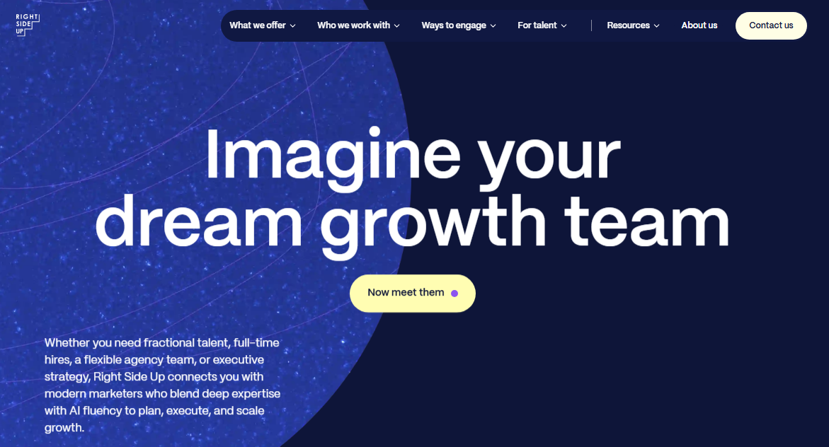 hire AI Consultant
